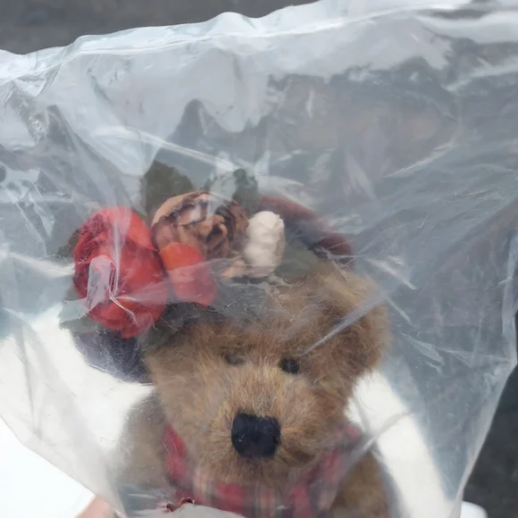 Boyds Bear Lizzie Wishkabibble Day NWT And Small Story Book- sealed original bag - Picture 2 of 5